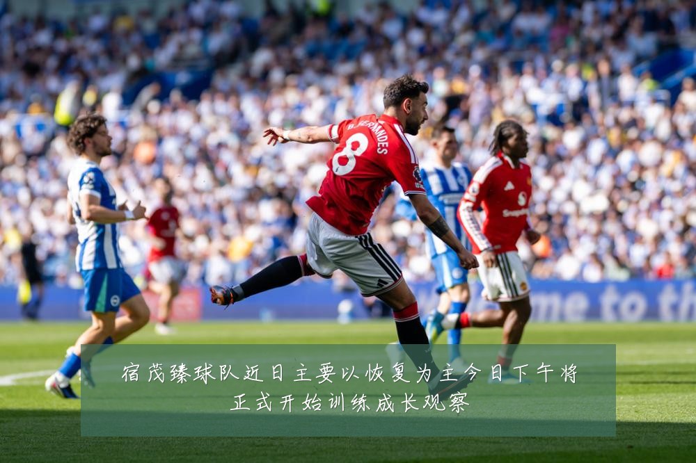 宿茂臻球队近日主要以恢复为主今日下午将正式开始训练成长观察